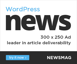 rec300 rec300 300x250